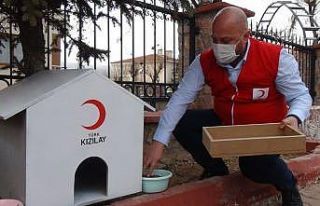 Kızılay, sokak hayvanlarına yuva yaptı