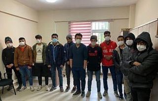 Kocaeli TEM Otoyolu’nda ticari araçlarda 11 göçmen...