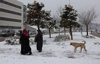 Kocaeli’de şehir merkezine yakın bölgeler beyaz...