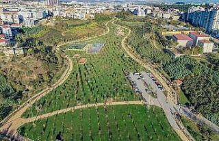 Kocaeli’nde kişi başına düşen yeşil alan miktarı...
