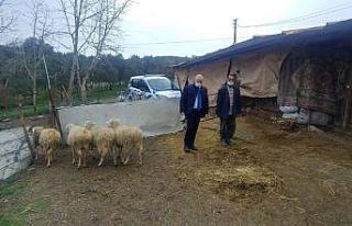 Konteyneri yanan vatandaşa İzmit Belediyesinden...