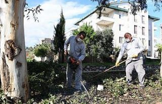 Konyaaltı Belediyesi’nden, park bahçe ve yeşil...