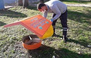 Konyaaltı’nda sokak hayvanları unutulmadı