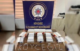Köyceğiz’de kaçak tütün operasyonu