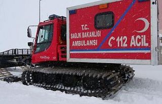 Köyde mahsur kalan hasta kadın paletli ambulansla...
