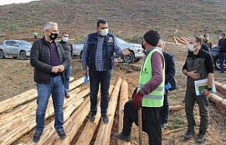 Kozan’da yanan orman alanları devlet eli ile yeşerecek