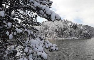 Küçükelmalı Tabiat Parkında kar yağışı sonrası...