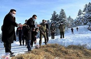 Küçükelmalı Tabiat Parkı’nda yaban hayvanları...