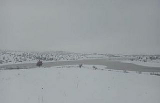 Kulp’taki sulama göleti son yağışlarla hayat...