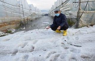 Kumluca’da yağan dolu seralara zarar verdi