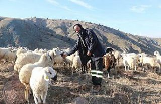 Kuraklık onları hem sevindirdi hem düşündürdü