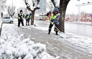 Küreme ve tuzlama çalışmaları başladı
