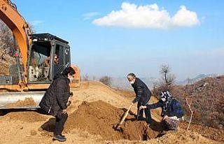 Küresel ısınmaya karşı ceviz fidanlı önlem