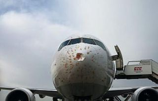 Kuş sürüsüne giren THY’nin kargo uçağı geri...