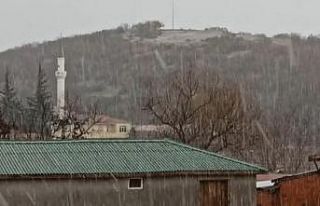 Lalapaşa’da dolu