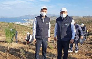 Limak Enerji Balıkesir’i ağaçlandıracak