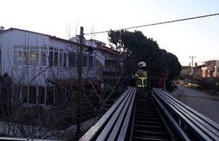 Mahsur kalan kediyi itfaiye kurtardı