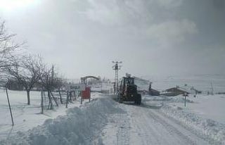 Malatya’da kar nedeniyle 698 mahalle yolunu ulaşıma...