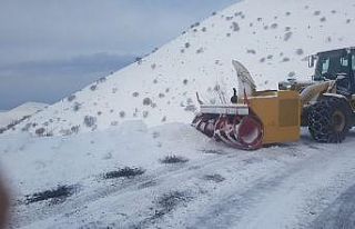 Malatya’da kar nedeniyle kapanan 601 mahallenin...