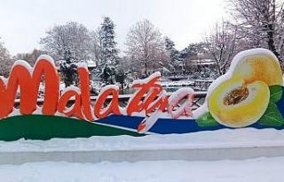 Malatya’da kar sevinci