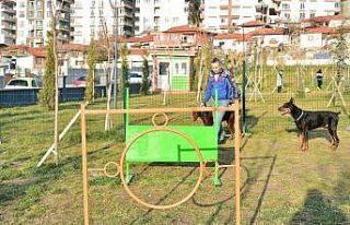 Mamak Belediyesinden ‘Köpek Parkı’