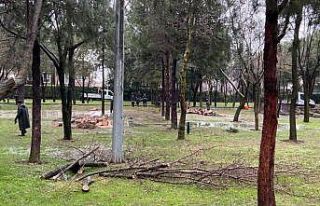 Manisa Büyükşehir sağanak ve fırtına sonrası...