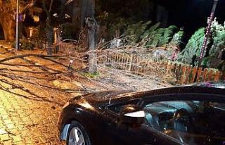 Manisa’da fırtına ağaçları devirdi çatıları...
