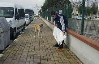 Manisa’da sokak hayvanlarına mama desteği