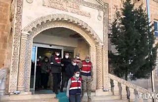 Mardin’deki uyuşturucu operasyonunda 9 tutuklama
