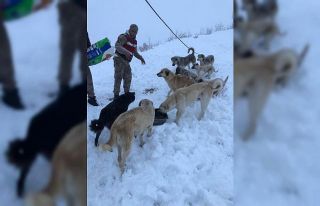 Mehmetçik sokak hayvanlarını unutmadı