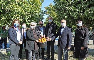 Mersin’de turunçlar salata sosu olarak ekonomiye...