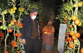 Meteoroloji uyardı, üreticiler zirai don nöbeti...