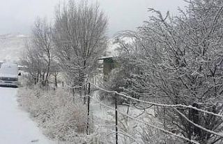 Meteoroloji, yağış ve kuvvetli rüzgar uyarısını...