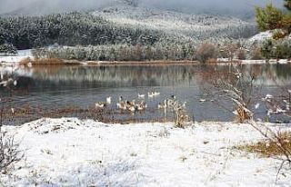 Mevsimin ilk karı yağdı Gölcük’te kartpostallık...