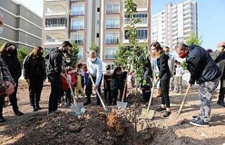 Mezitli’de turunç koruluğu açıldı