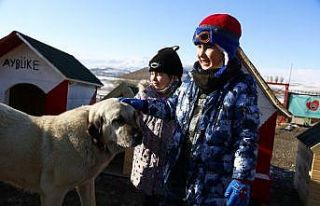 MHP’den sokak hayvanları için kampanya