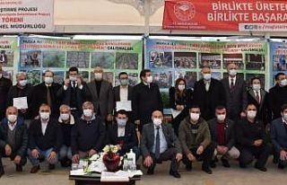 Milas’ta 300 bin ada çayı fidesi dağıtıldı