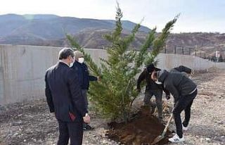 Millet Bahçesi’nin ilk fidanları toprakla buluşturuldu