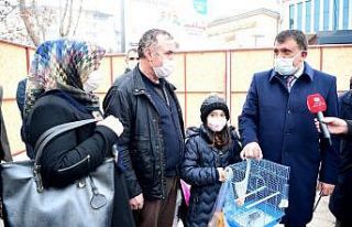 Minik Kardelen’in kanarya isteğini Başkan Gürkan...