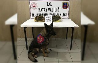 Motosikletin heybesinden uyuşturucu çıktı