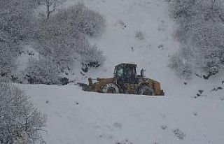Muş’ta 82 köy yolu ulaşıma açıldı