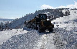 Muş’ta 82 köy yolu ulaşıma kapandı