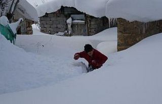 Muş’ta tek katlı evler ve araçlar kara gömüldü