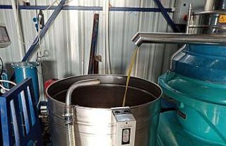 Mut’ta zeytin ve zeytinyağı hasadı sezonu sona...