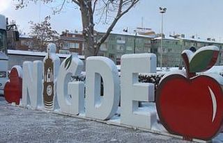 Niğde’ye mevsimin ilk karı yağdı