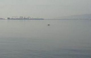 Ocak ayında denizin keyfini çıkardı