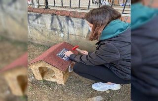 Öğrencilerden “Kedi Park Projesi"