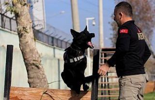 Onlar zehir tacirlerinin korkulu rüyası