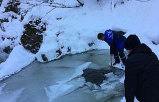 Ordu’da donan su alma yapılarına hızlı müdahale