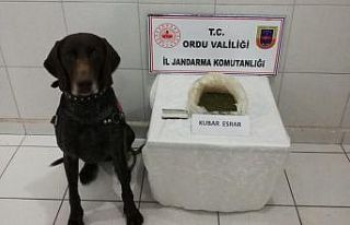 Ordu’da uyuşturucu satışı yapan 2 torbacı yakalandı